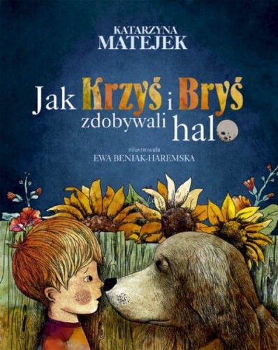 Wydawnictwo Bis  -  Jak Krzyś i Bryś Zdobywali Halo