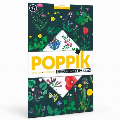Poppik           -           Wyklejanka  Botanika