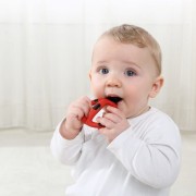 Mombella    -    Szczoteczka Treningowa Gryzak Biedronka Dori 3 - 8 Miesięcy