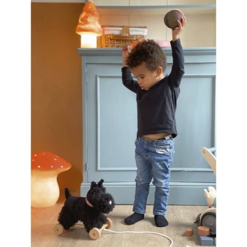 Egmont Toys® - Pluszowy Piesek Walter do Ciągnięcia