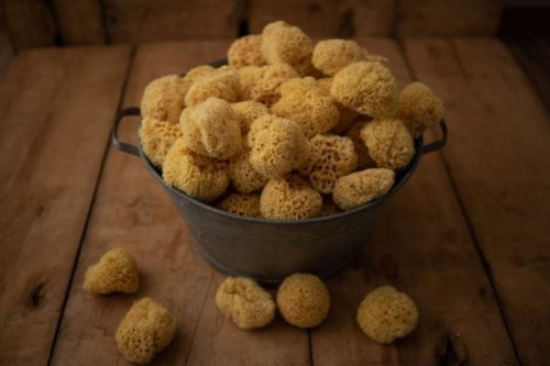 Lulaby  -  Naturalna Gąbka Morska dla Dorosłych   -  Honeycomb King Size