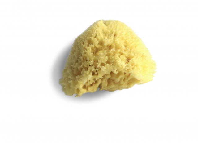 Lulaby  -  Naturalna Gąbka Morska  -  Honeycomb