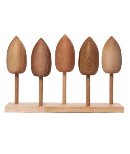 Wooden Story - Drewniana Układanka Gatunki Drzew