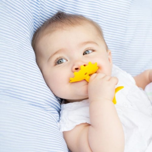 Gryzak, Niebieska Gwiazdka, Innobaby