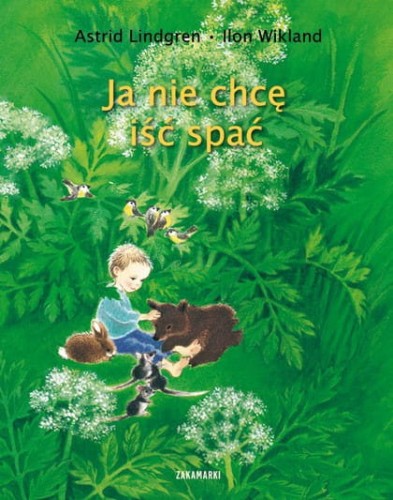 Zakamarki  -  ja nie Chcę Iść Spać