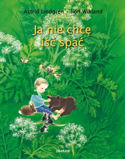 Zakamarki  -  ja nie Chcę Iść Spać