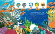 Nasza Księgarnia             -             Tuli Tuli Opowiada, Kto Gdzie Mieszka. Żółwik z Oceanu