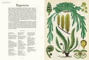 Wydawnictwo Dwie Siostry   -  Botanicum. Muzeum Roślin