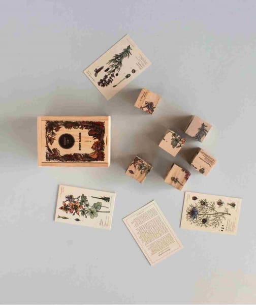 Wooden Story - Drewniane Klocki Życie Pszczoły Rośliny Miododajne