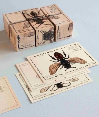 Wooden Story - Drewniane Klocki Życie Pszczoły Gatunki