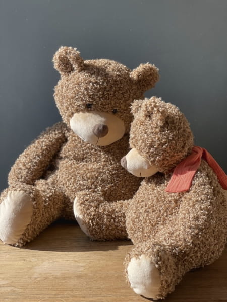 Egmont Toys® - Przytulanka Miś Jules  -  Duży | Egmont Toys®