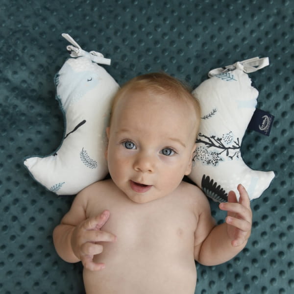 La Millou  -  Angel's Wings  -  Hello World  -  velvet royal navy