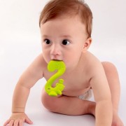 Mombella  -  Gryzak Zabawka Squirrel Green