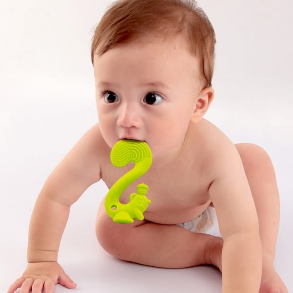 Mombella  -  Gryzak Zabawka Squirrel Green
