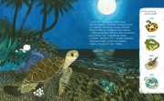 Nasza Księgarnia             -             Tuli Tuli Opowiada, Kto Gdzie Mieszka. Żółwik z Oceanu