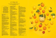 Wydawnictwo Znak  -  Italia na Talerzu