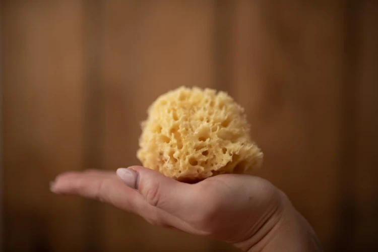 Lulaby  -  Naturalna Gąbka Morska  -  Honeycomb