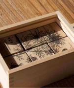 Wooden Story - Drewniane Klocki Życie Pszczoły Rośliny Miododajne