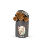 Moulin Roty                      -                        Przytulanka Pluszowy Miś Arthur w Ozdobnym Pudełku