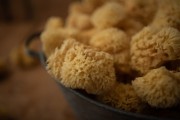 Lulaby  -  Naturalna Gąbka Morska  -  Honeycomb
