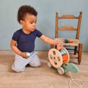 Egmont Toys® - Sorter  -  Żółwik do Ciągnięcia | Egmont Toys®