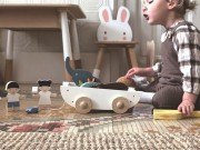 tender leaf toys - Drewniany Statek do Ciągnięcia ze Zwierzątkami, Tender Leaf Toys