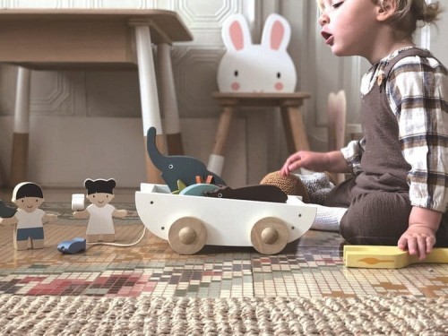 tender leaf toys - Drewniany Statek do Ciągnięcia ze Zwierzątkami, Tender Leaf Toys